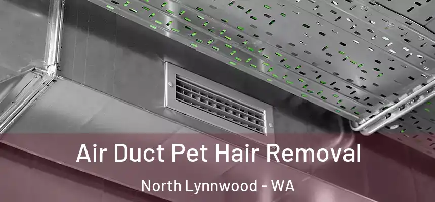  Air Duct Pet Hair Removal North Lynnwood - WA