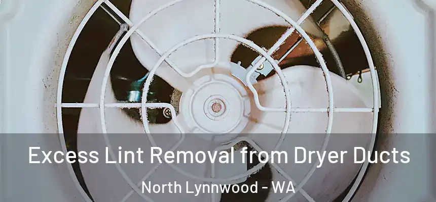  Excess Lint Removal from Dryer Ducts North Lynnwood - WA