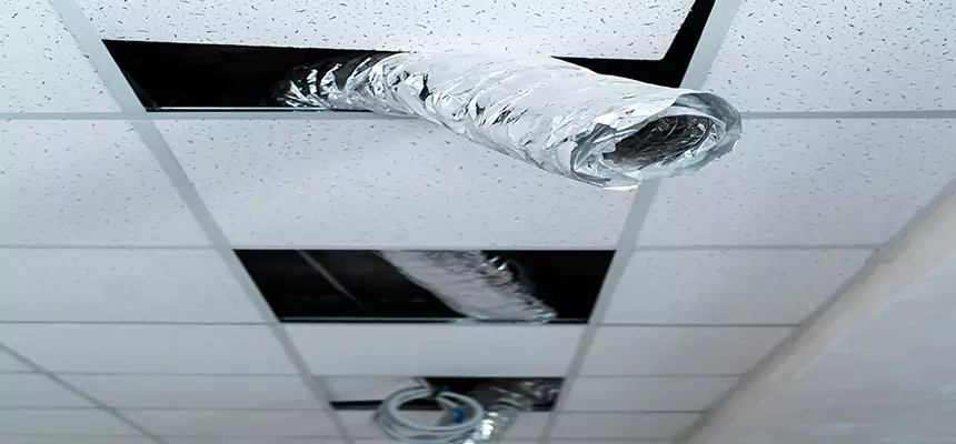 Affordable HVAC Sanitizing After Pest Removal in North Lynnwood