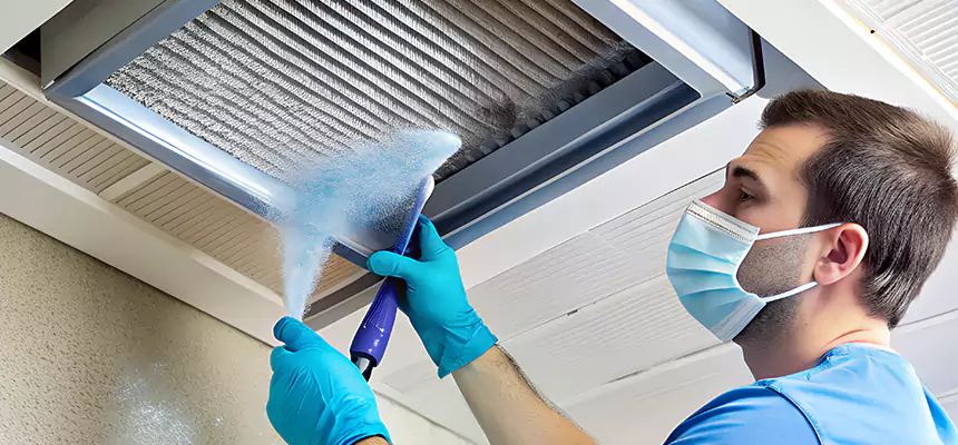 Proactive Dryer Vent & Auxiliary Duct Pollen Cleanup in North Lynnwood, WA