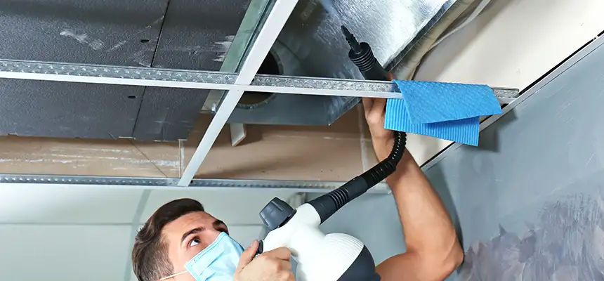 Our Air Duct Rodent Removal Services in North Lynnwood, WA