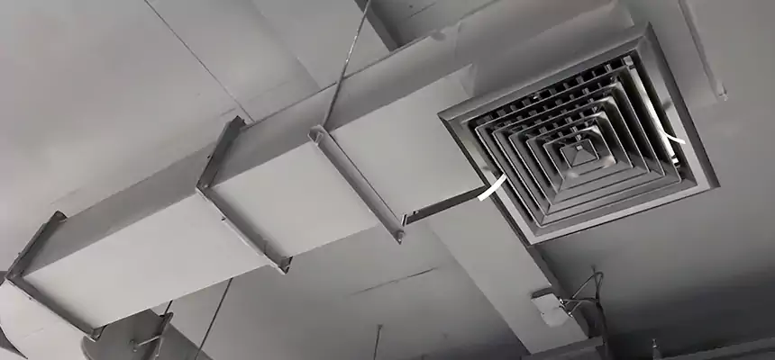 Restorative Allergy Relief Vent Cleaning – Coil, Blower & Housing Detail in North Lynnwood