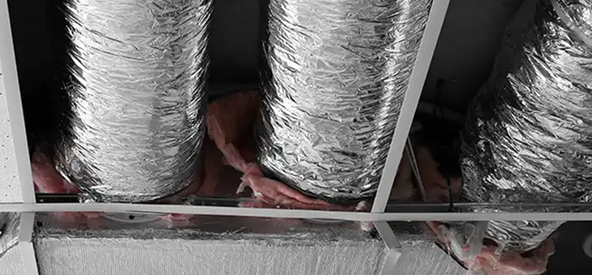 Scalable Commercial Multi‑Unit Dryer Vent Camera Inspection in North Lynnwood, WA