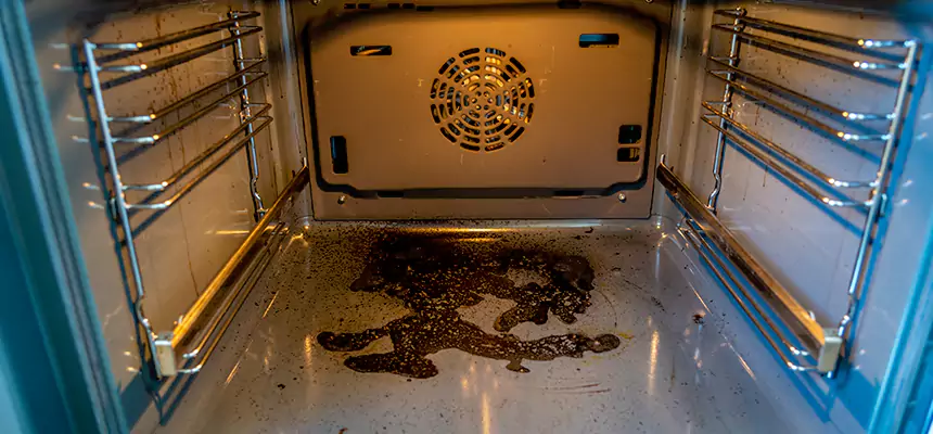 Our Dryer Vent Mold Cleaning Services in North Lynnwood, WA