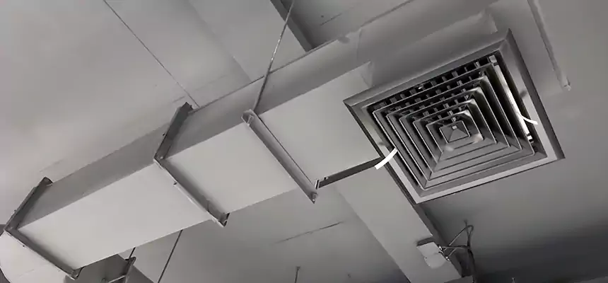 Our Pest Removal From Ducts Services in North Lynnwood, WA