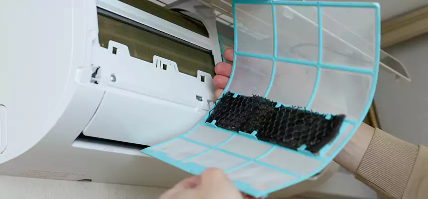 Gentle Ductwork Odor-Control Pet Dander Duct Cleaning in North Lynnwood, WA