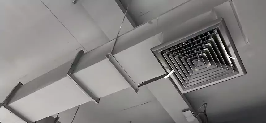 Our Rodent Droppings In Vents Services in North Lynnwood, WA