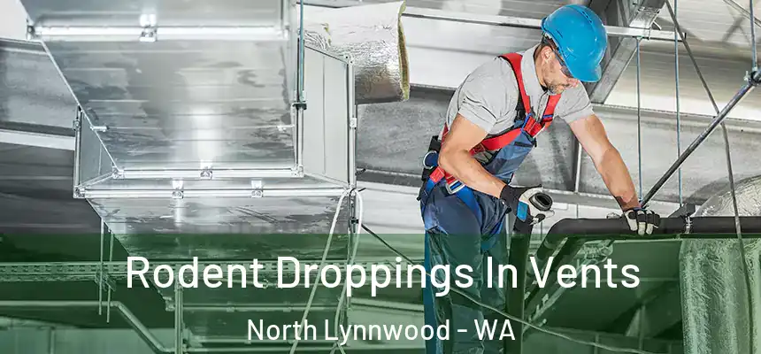  Rodent Droppings In Vents North Lynnwood - WA
