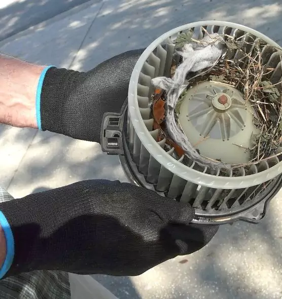 About Air Duct Rat Removal in North Lynnwood, WA