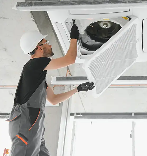 About Air Duct Rodent Removal in North Lynnwood, WA