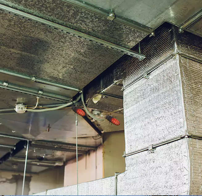 Why Homeowners & Businesses Trust Us in North Lynnwood, WA?