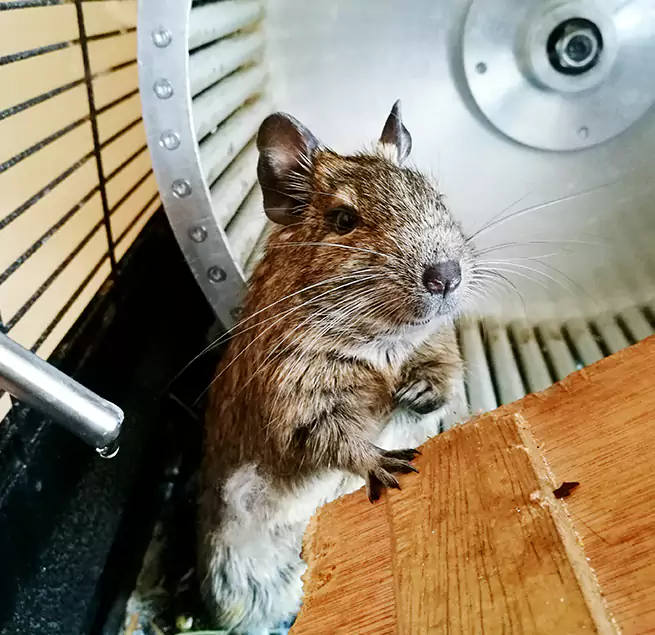 Why Homeowners & Businesses Trust Us North Lynnwood, WA?