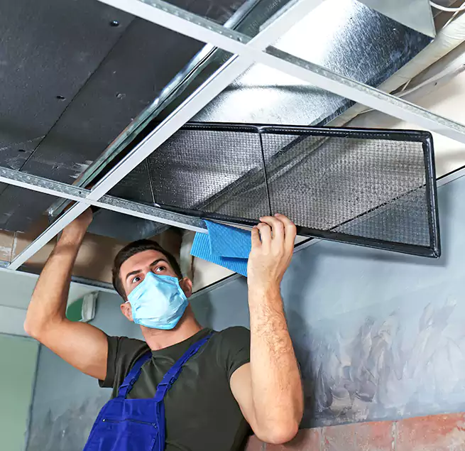 Why Homeowners Businesses Trust Us in North Lynnwood, WA