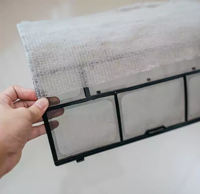 Why Homeowners & Businesses Trust Us in North Lynnwood, WA?