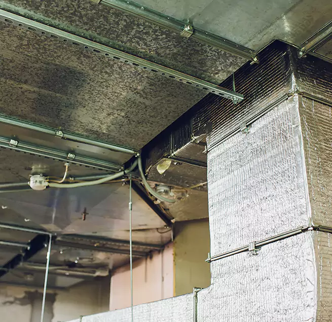 Why Homeowners & Businesses Trust Us in North Lynnwood, WA?