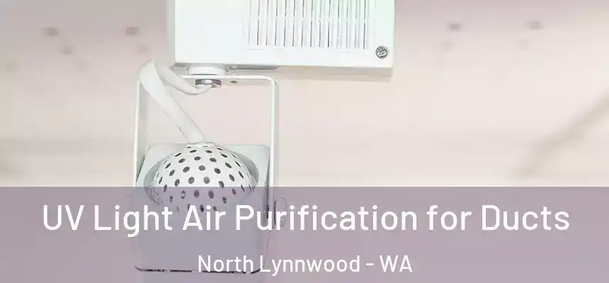  UV Light Air Purification for Ducts North Lynnwood - WA